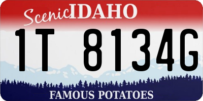 ID license plate 1T8134G