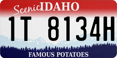 ID license plate 1T8134H