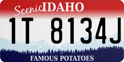 ID license plate 1T8134J