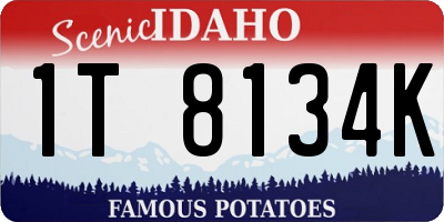 ID license plate 1T8134K