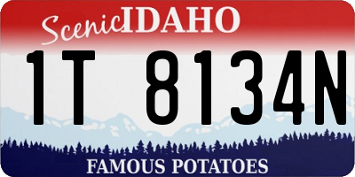 ID license plate 1T8134N