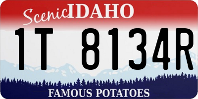 ID license plate 1T8134R