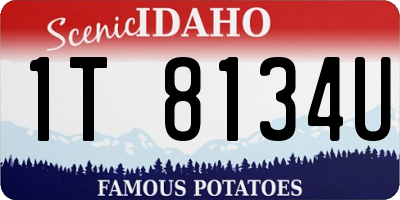 ID license plate 1T8134U