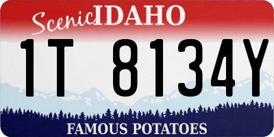 ID license plate 1T8134Y
