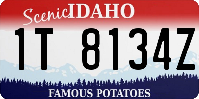 ID license plate 1T8134Z