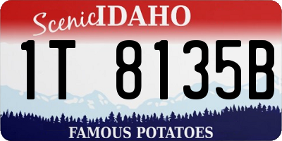 ID license plate 1T8135B