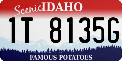 ID license plate 1T8135G