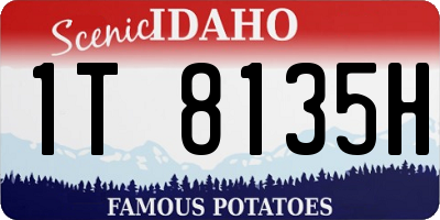 ID license plate 1T8135H