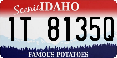 ID license plate 1T8135Q