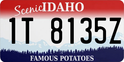 ID license plate 1T8135Z