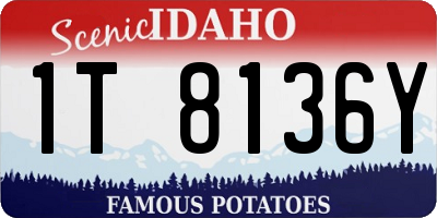 ID license plate 1T8136Y