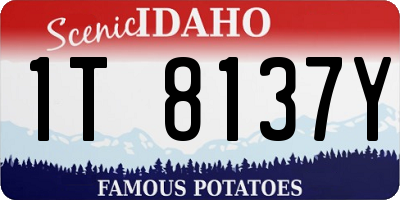ID license plate 1T8137Y
