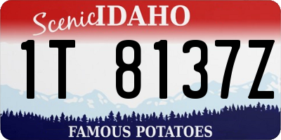 ID license plate 1T8137Z