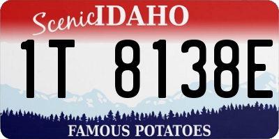 ID license plate 1T8138E