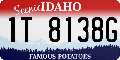 ID license plate 1T8138G