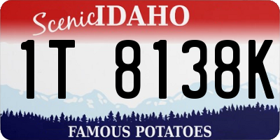 ID license plate 1T8138K