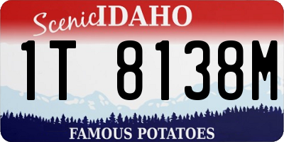 ID license plate 1T8138M
