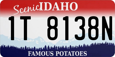 ID license plate 1T8138N