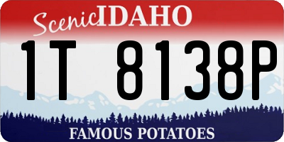 ID license plate 1T8138P