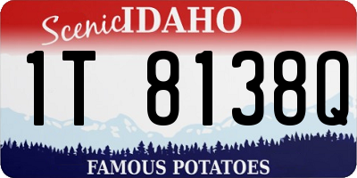 ID license plate 1T8138Q