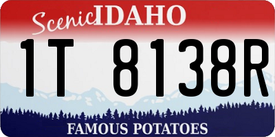 ID license plate 1T8138R