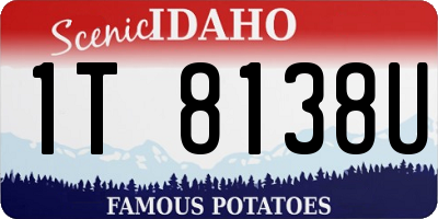 ID license plate 1T8138U