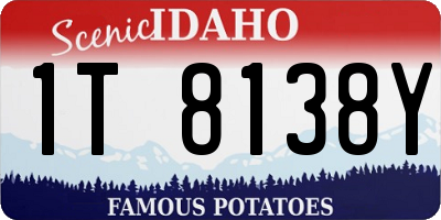ID license plate 1T8138Y