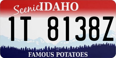 ID license plate 1T8138Z