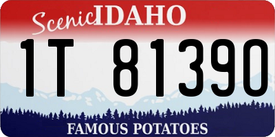 ID license plate 1T8139O
