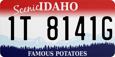 ID license plate 1T8141G