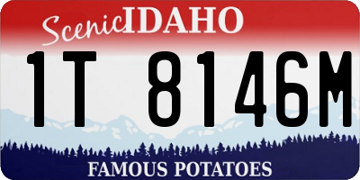 ID license plate 1T8146M