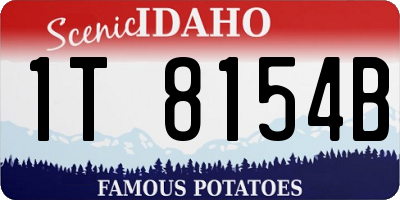 ID license plate 1T8154B