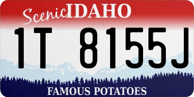 ID license plate 1T8155J