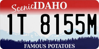 ID license plate 1T8155M