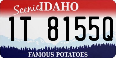 ID license plate 1T8155Q