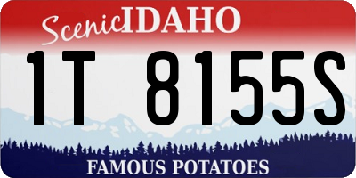 ID license plate 1T8155S