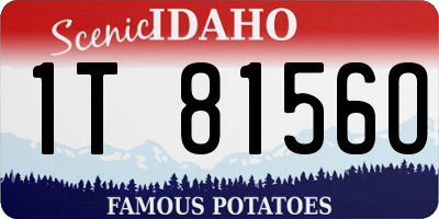 ID license plate 1T8156O