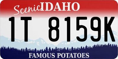 ID license plate 1T8159K