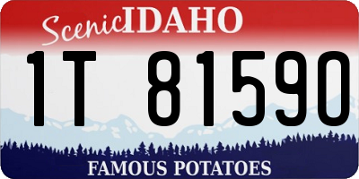ID license plate 1T8159O