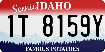 ID license plate 1T8159Y