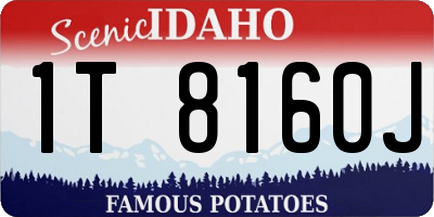 ID license plate 1T8160J