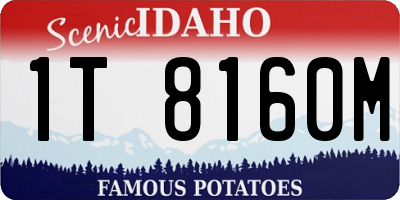 ID license plate 1T8160M