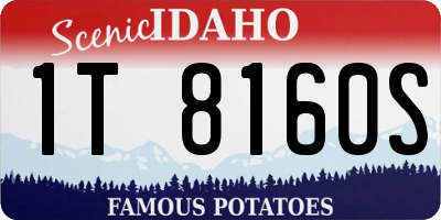 ID license plate 1T8160S