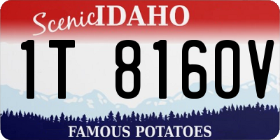 ID license plate 1T8160V