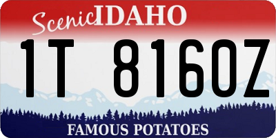 ID license plate 1T8160Z
