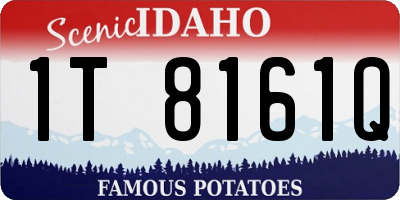 ID license plate 1T8161Q