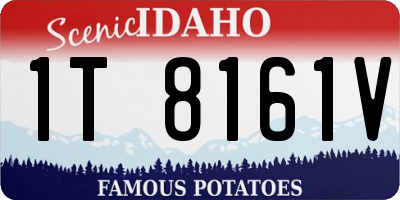 ID license plate 1T8161V