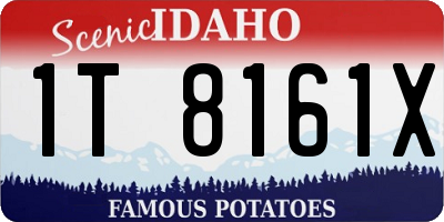ID license plate 1T8161X