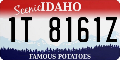 ID license plate 1T8161Z