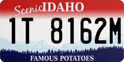 ID license plate 1T8162M